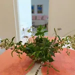 بيت للعطل Kalymnos Residence Kálymnos