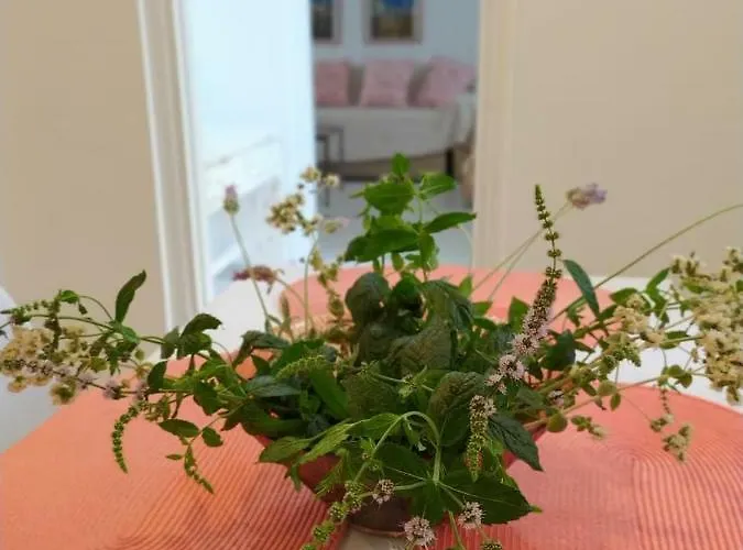 بيت للعطل Kalymnos Residence Kálymnos